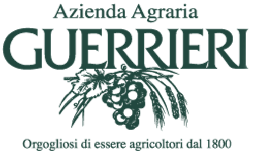 Guerrieri.a2ec8cf7