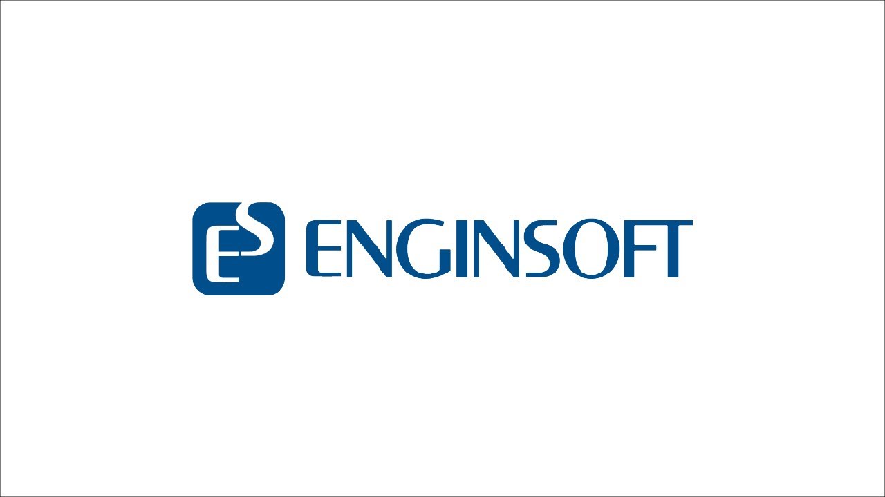 enginsoft_partner.7fd6a3b2